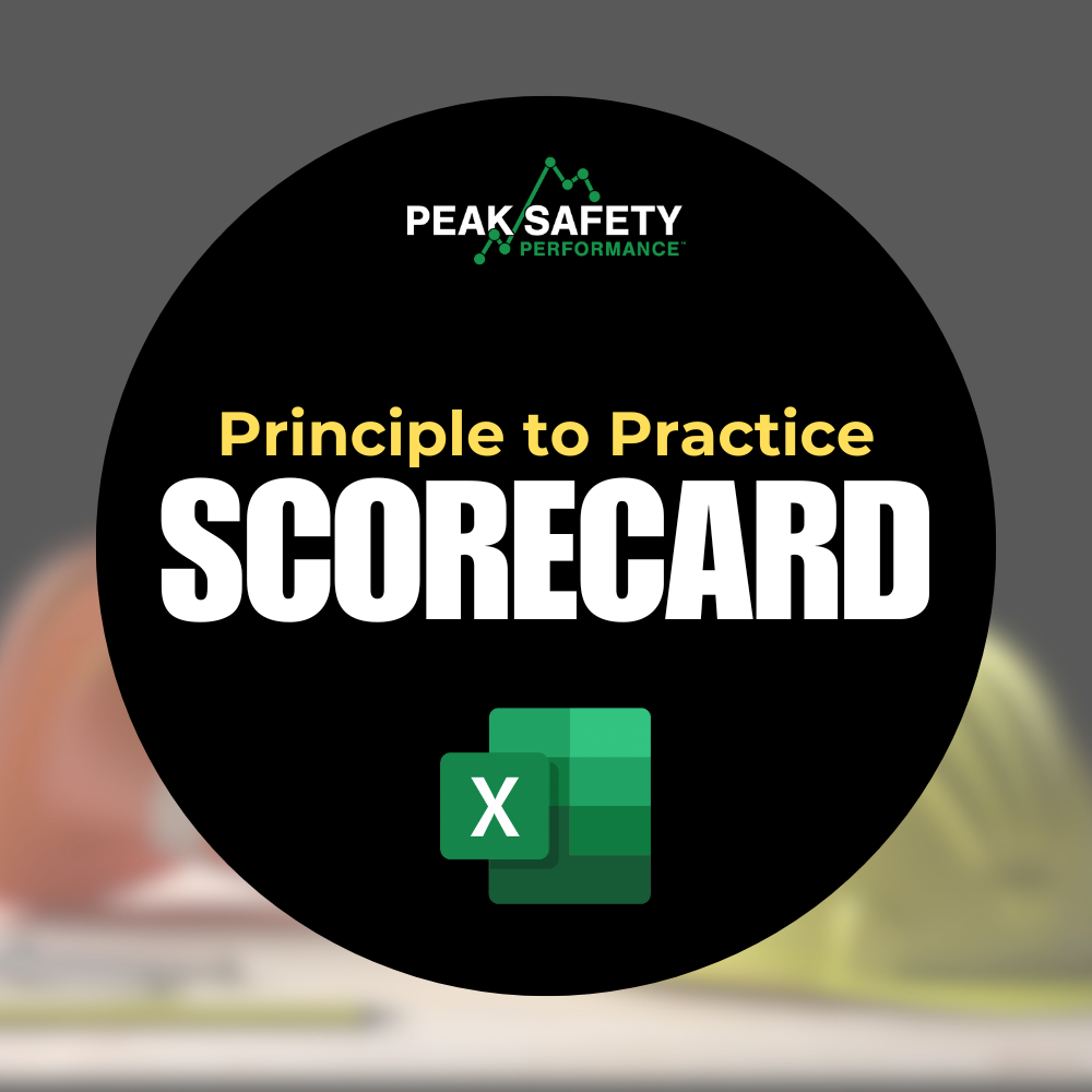 Principle to Practice Scorecard with Graphs